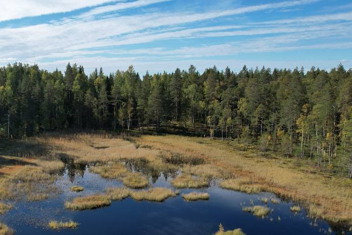 Landtjärn, Sandviken, Sandvikens kommun