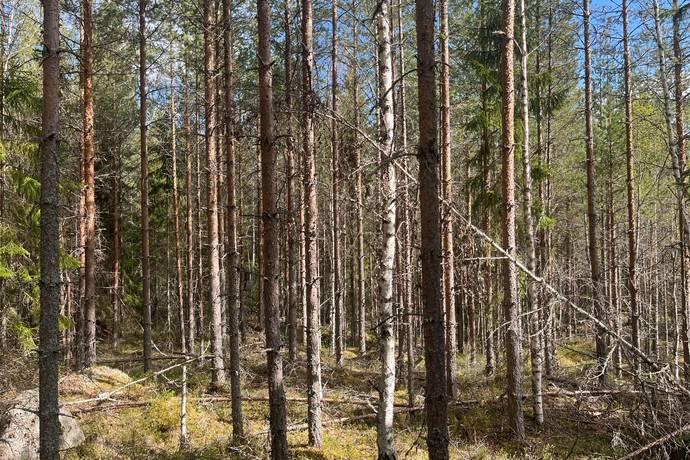Gård med skogsbruk på Leksand Ytteråkerö 21:21 Björberget Leksands kommun - bild 31