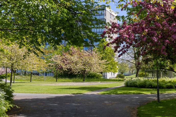 2 rum Lägenhet på Dansörgatan 20 Lindeborg Malmö kommun - bild 42