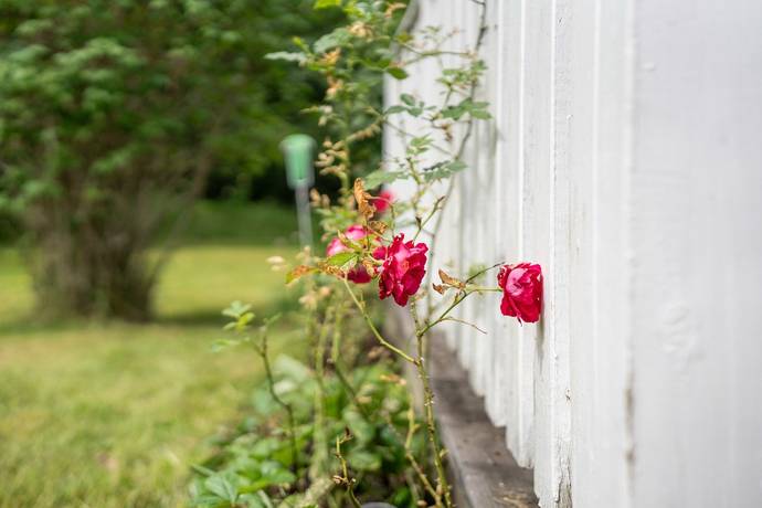 4 rum Fritidshus på Torrskogs stom 10 Torrskog Bengtsfors kommun - bild 26