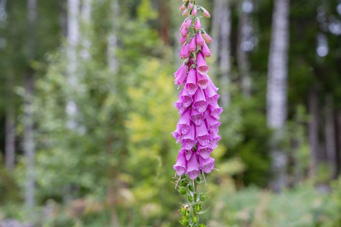 4 rum Vinterbonat fritidshus på Andstigen 7 Bränntorp Finspångs kommun - bild 34