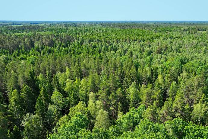 10 rum Gård/skog på Harbonäs säteri Heby- Uppland Heby kommun - bild 21