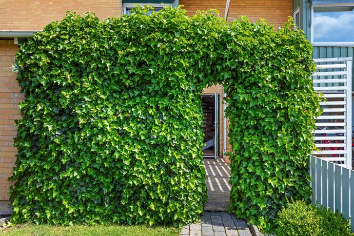 4 rum Lägenhet på GRÖNADALSGATAN 58 Grönadal Svedala kommun - bild 32
