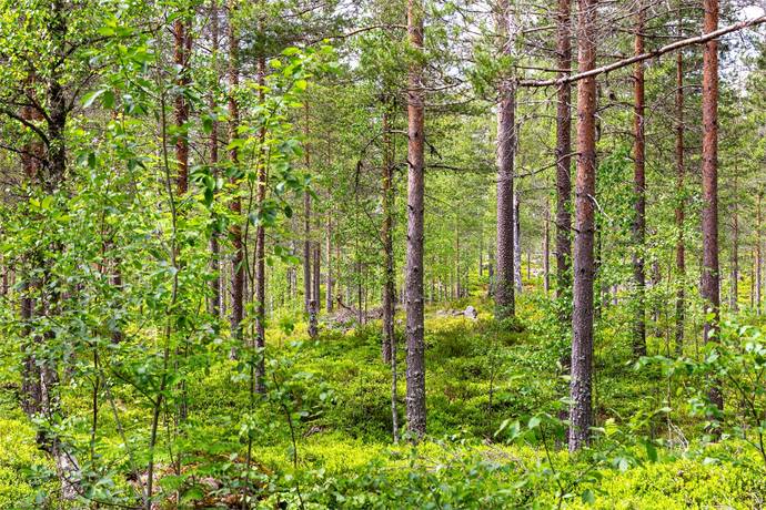 3 rum Vinterbonat fritidshus på Lofttjärn 73 & Lofttjärn 75 Lofttjärn Ljusnarsbergs kommun - bild 25