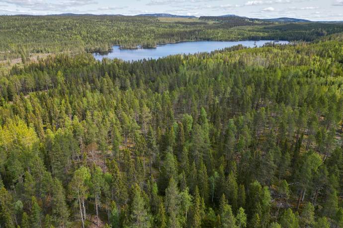 gård/skog på Krokom Laxviken 1:72 Föllinge, Krokoms kommun - bild 3
