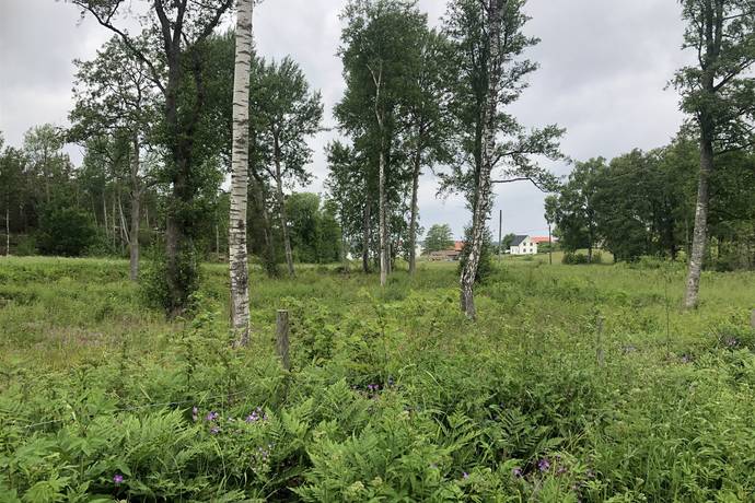 Tomt på Arholma norra byväg 22 Norrtälje kommun - bild 14