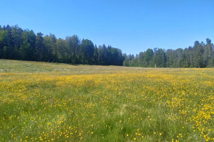 60 m² Gård med jordbruk på Bondbyn Holmen 104 Nora kommun - bild 8