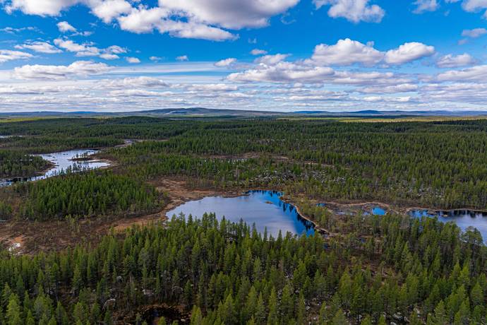 Gård/skog på Gargnäs 1:5 Sorsele Sorsele kommun - bild 5