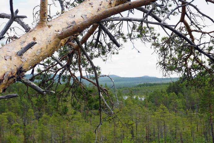 Sveg, Härjedalens kommun