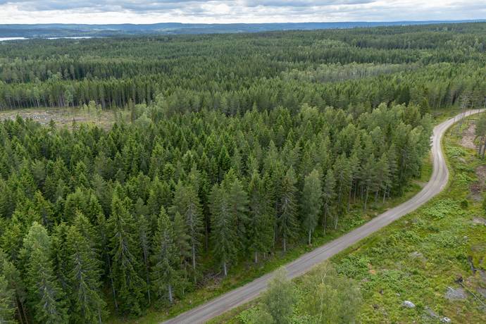 Gustavsfors, Bengtsfors kommun