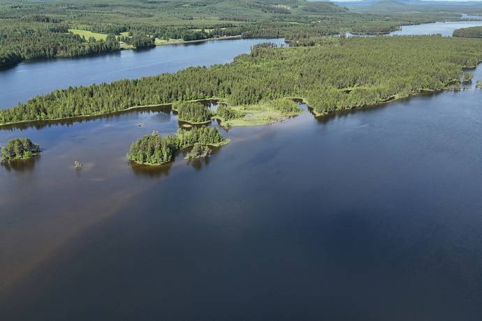 gård med skogsbruk på Skog Lycksele Pausele Pausele, Lycksele kommun - bild 1