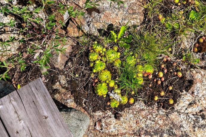 1 rum Fritidshus på Skuruparken stuga nr 70 Skuruparken Nacka kommun - bild 14