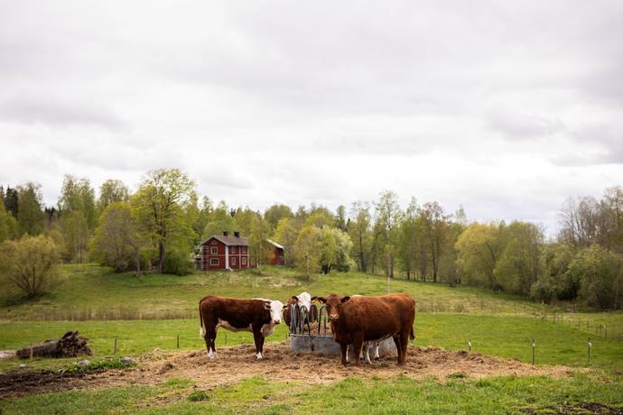5 rum Villa på Gusselhyttan 470 Gusselhyttan Lindesbergs kommun - bild 59