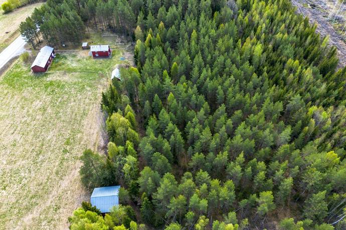 Gård/skog på Edsmon 151 Sollefteå kommun - bild 35