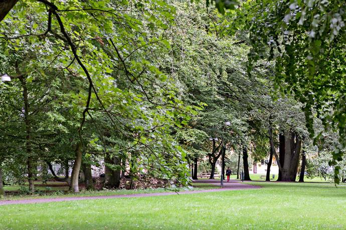 2 rum Lägenhet på Major Nilssonsgatan 11C Slottsstaden Malmö kommun - bild 16