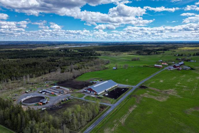 Gård/skog på Välskött Produktionslantbruk i Jämtland Åre kommun - bild 42