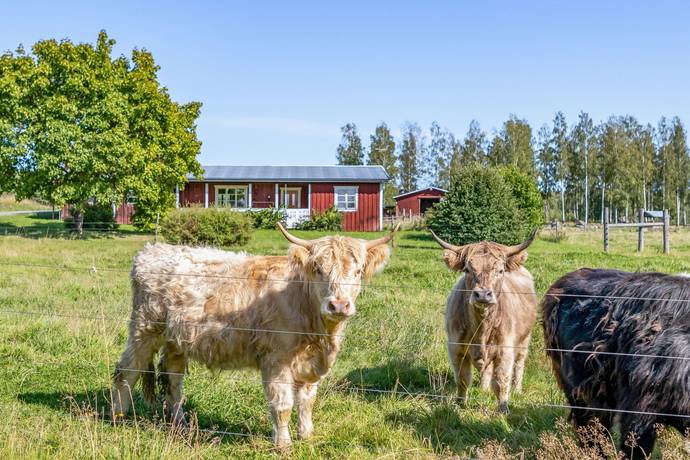 6 rum Villa på Sveden 25 Falu kommun - bild 36
