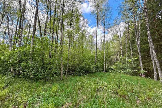 Gård med skogsbruk på Stenkällegården 1 Tiveden Karlsborgs kommun - bild 82