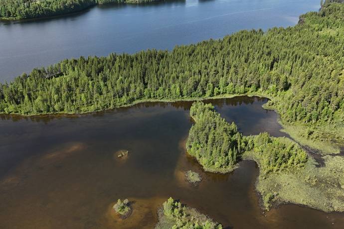 gård med skogsbruk på Skog Lycksele Pausele Pausele, Lycksele kommun - bild 3