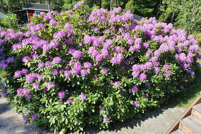 6 rum Vinterbonat fritidshus på Barnviksslingan 41 Stavsnäs Värmdö kommun - bild 31