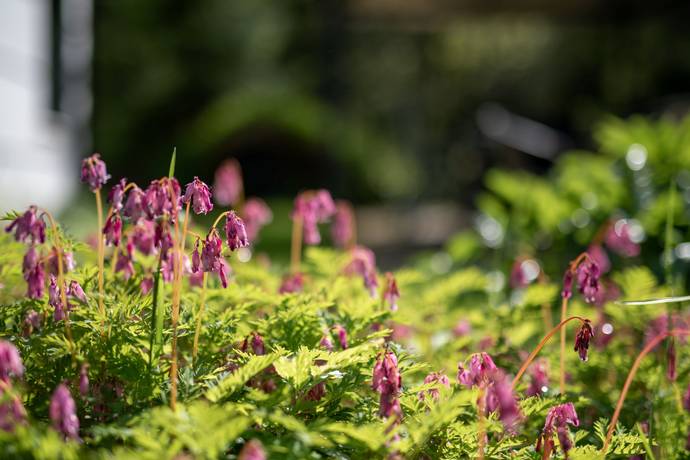 2 rum Fritidshus på Glommans Småstugeområde 54 Adolfsberg Örebro kommun - bild 29