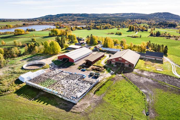 Finng rdarna I Dalarna Borl nge Kommun G rd skog Till Salu Hemnet
