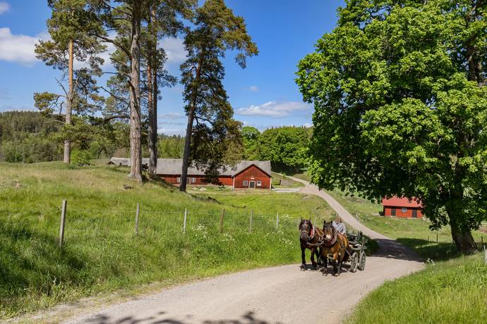 10 rum gård med jordbruk på Mjölsefall 1 Kisa, Kinda kommun - bild 3