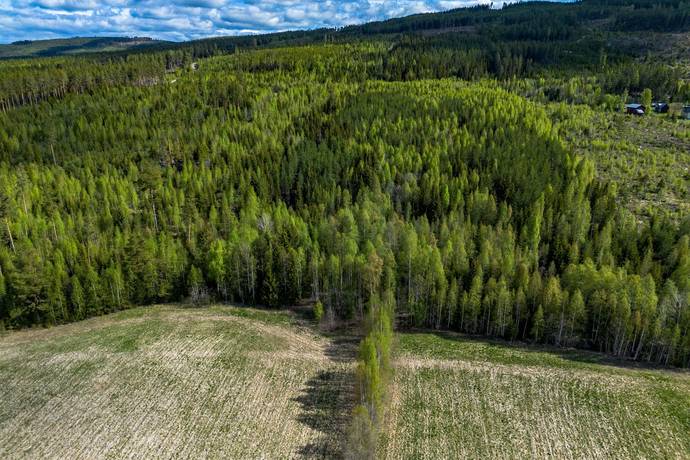 Gård/skog på Edsmon 151 Sollefteå kommun - bild 37