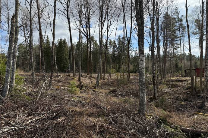 Tomt på Grava-Rud 888 Rudskogen Karlstads kommun - bild 19