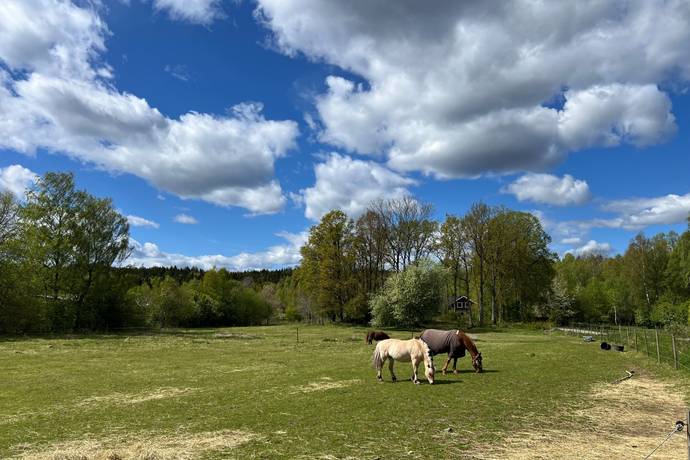 6 rum gård/skog på Västra Svedernavägen 3 Gräfsnäs, Alingsås kommun - bild 4