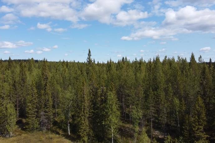 gård utan jordbruk på Råberg 60 Norrberg, Lycksele kommun - bild 1