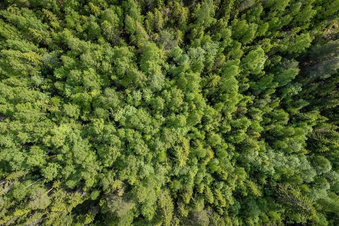 gård/skog på Vike 229 Liden, Sundsvalls kommun - bild 3