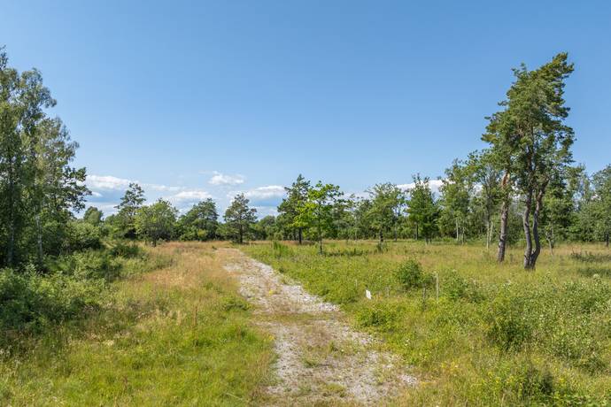 tomt på Österskogsvägen 42 & 44 Jordhamn, Borgholms kommun - bild 4