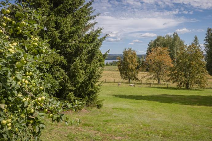 6 rum Villa på Södra Såneby 94 Sunne kommun - bild 31