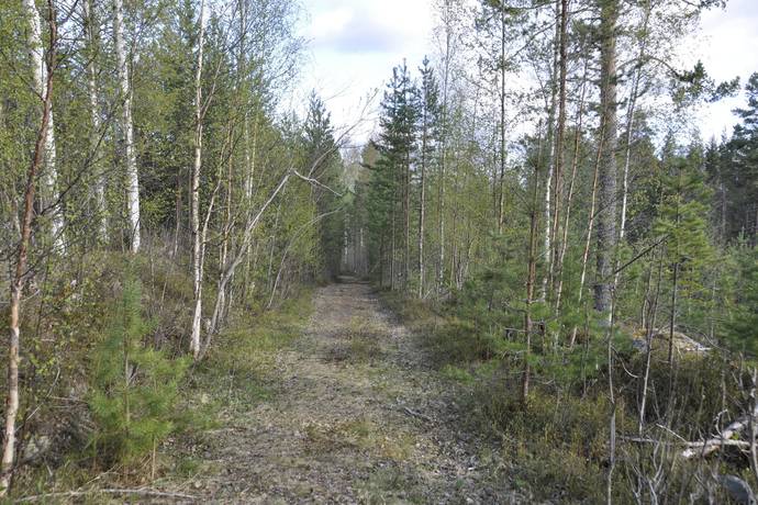 Gård utan jordbruk på Glissjöberg 435 Glissjöberg Härjedalens kommun - bild 57