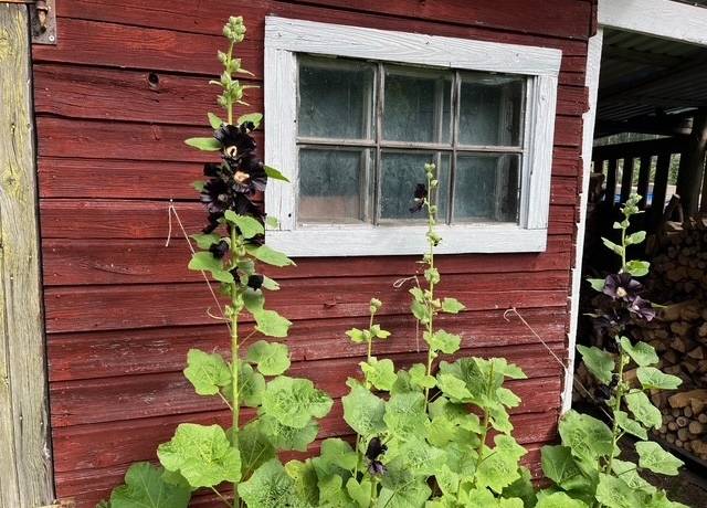 2 rum Fritidshus på Björkbyvägen 13 Kärrgruvan Norbergs kommun - bild 27