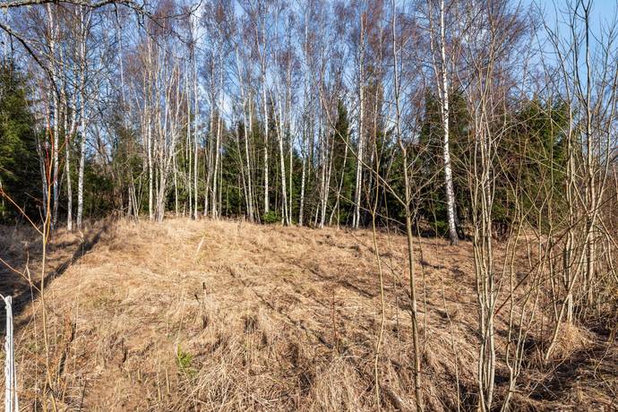 Tomt på Östernäs byväg 35 Östernäs Norrtälje kommun - bild 5