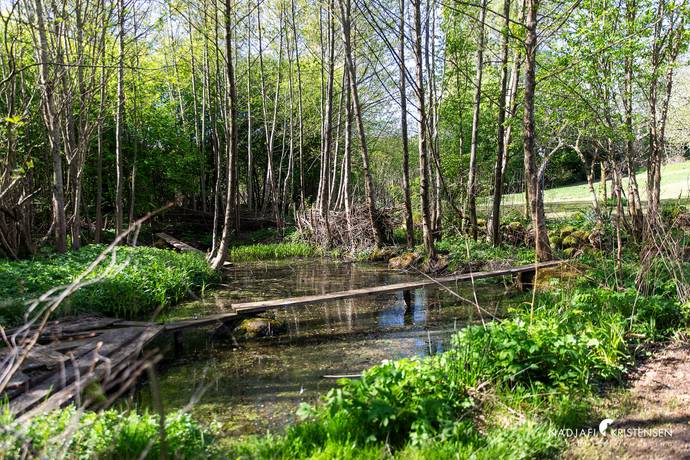 150 m² Gård/skog på Erikstorpsvägen 107 Boarp Båstads kommun - bild 12