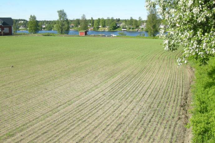 mäklarringen skellefteå mäklarringen skellefteå