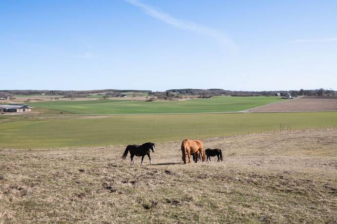 Gård utan jordbruk på Kyrkvägen 27 Österlen Simrishamns kommun - bild 18