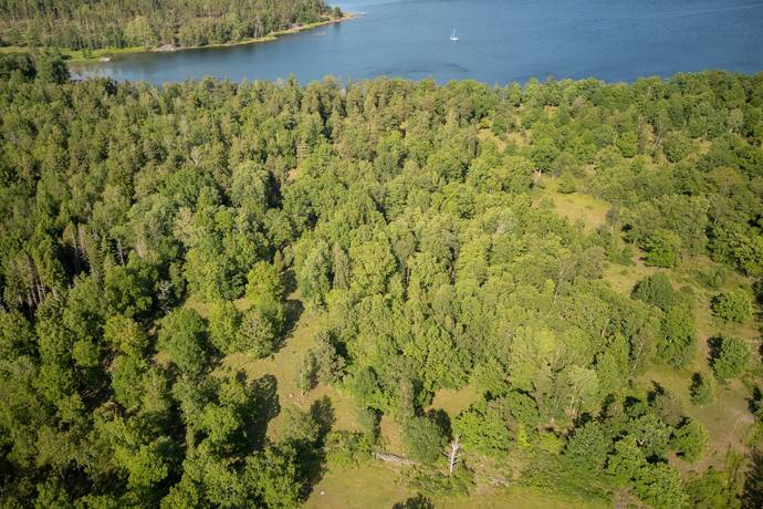 Gård utan jordbruk på Hasselö Vedhälla Hagaslätt  (del av fastigheten) Hasselö Västerviks kommun - bild 4