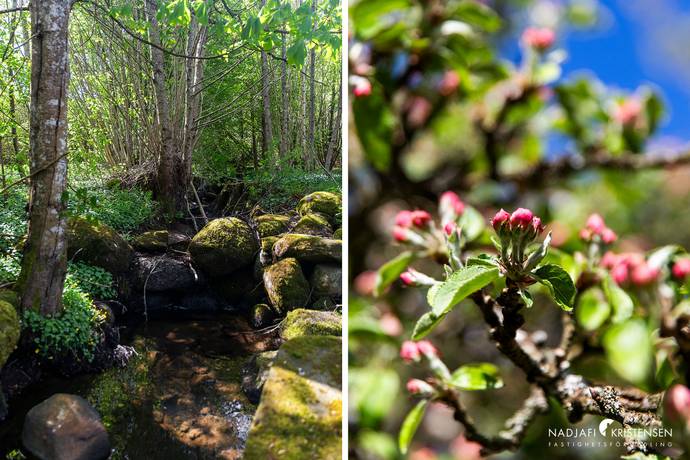 150 m² Gård/skog på Erikstorpsvägen 107 Boarp Båstads kommun - bild 33