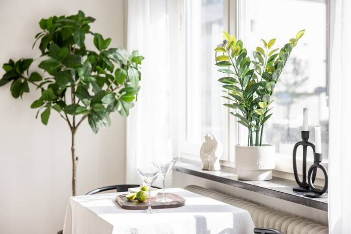 1 rum Lägenhet på Södra förstadsgatan 119 Dalaplan Malmö kommun - bild 12