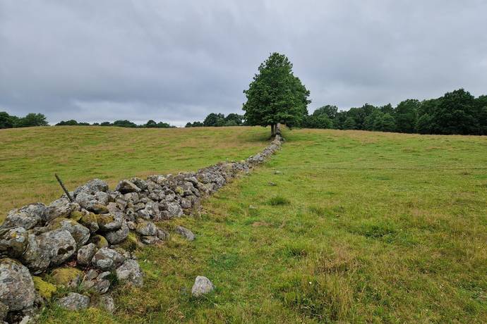 Gård med jordbruk på Trulshärad 8151 Önneköp Hörby kommun - bild 16