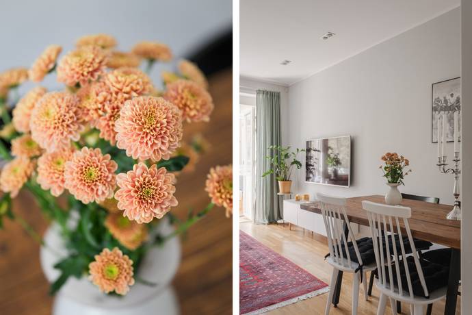 2 rum Lägenhet på Roskildevägen 31B Pildammarna Malmö kommun - bild 7