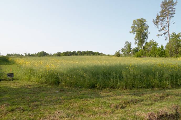 Månsudden Östnässja 3:25, Östnässja, Vadstena kommun