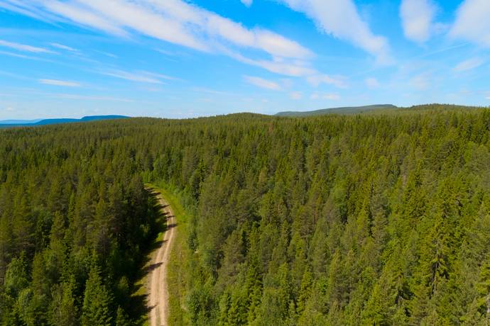 Gård/skog på Ytterberg 431 Ytterberg Härjedalens kommun - bild 11