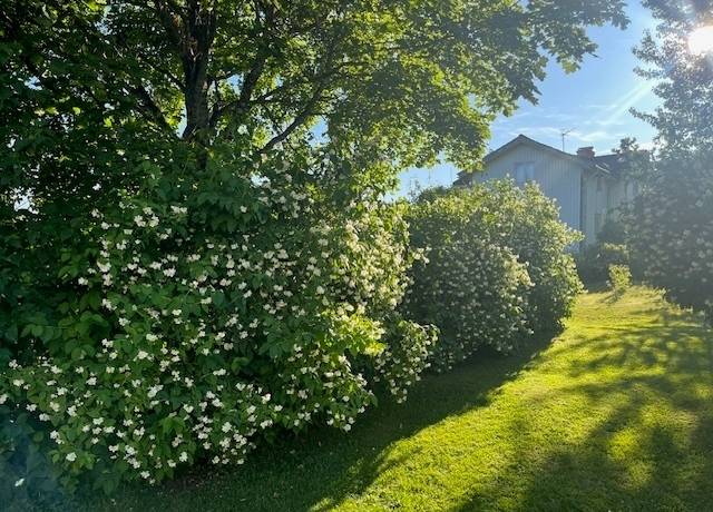 8 rum Villa på Ullungsforsvägen 13 Edsbyn - Borgen Ovanåkers kommun - bild 38