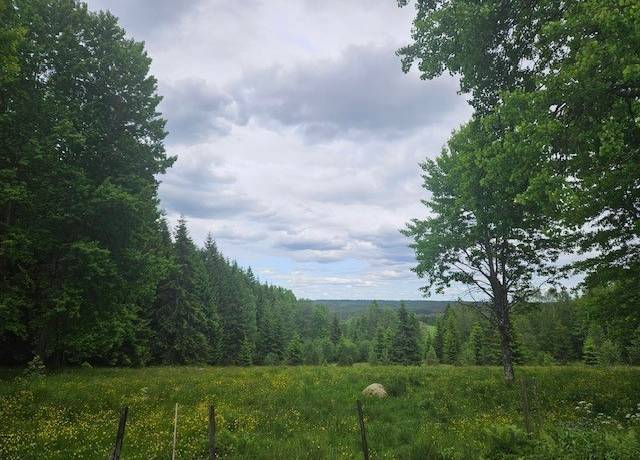 4 rum Fritidshus på Bjurbäck Stughemmet 1 Bjurbäck Mullsjö kommun - bild 22