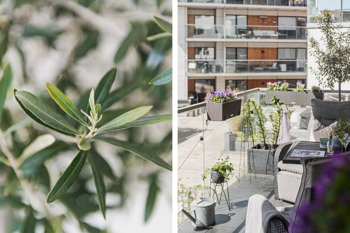 3 rum lägenhet på Skomakaregatan 10A Gamla Väster, Malmö kommun - bild 5